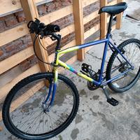 Bicicletta mountain-bike