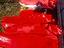 Immagine 4