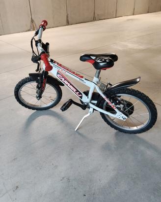 Bici 14 pollici Carnielli