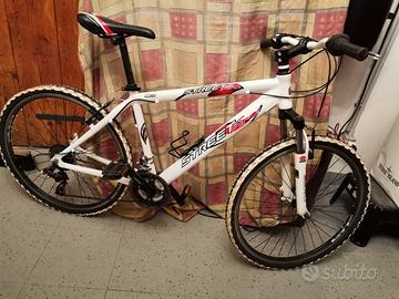 Bicicletta da ragazzo