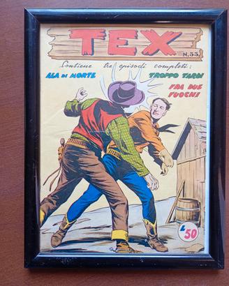fumetto Tex 