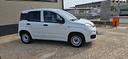 fiat-panda-1-2-pop-van-2-posti-iva-esposta