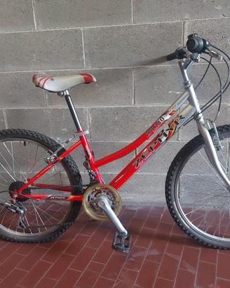 Mountain bike da 24 pollici 