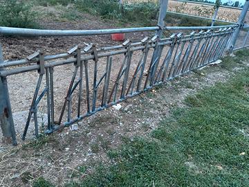 Autoccattura ovini caprini