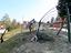 Immagine 25
