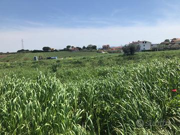 Rif. 200 Terreno agricolo di 4 ettari e fabbricato