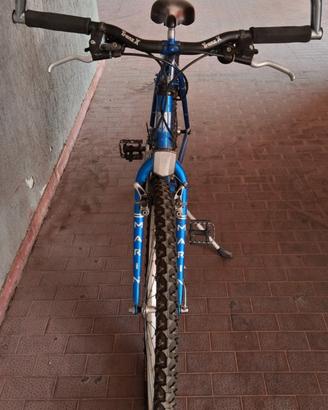 bicicletta mtb 