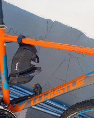  2 biciclette 