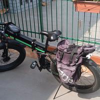 e bike 1000 w