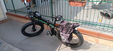 e bike 1000 w