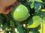 Immagine 3