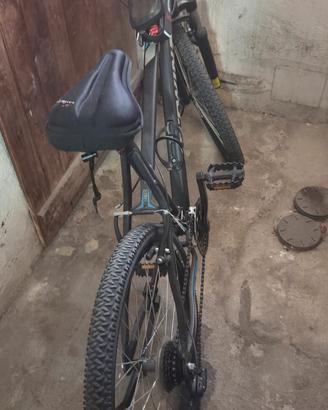 bicicletta da uomo mtb
