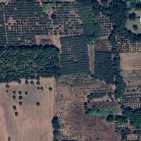 Vendita terreno agricolo