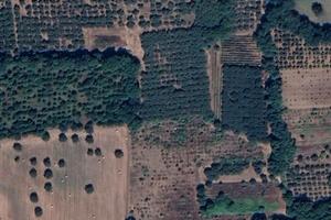 Vendita terreno agricolo