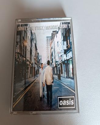 MC OASIS