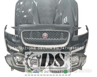 JAGUAR XE 2015 - 2025 musata RICAMBI