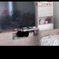 PARETE ATTREZZARA PEGASO MONDO CONV