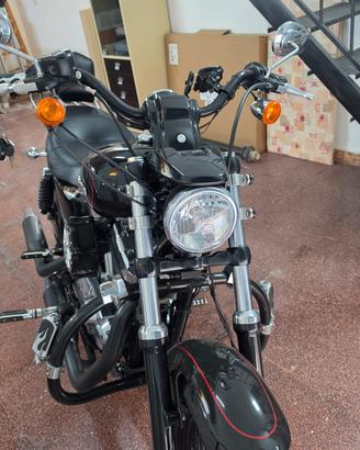Harley Davidson Sportster 1200 solo  12.000 KM