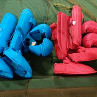 para tibbia e guanti 