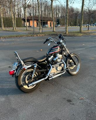 Harley Davidson sportster 883 chopper style