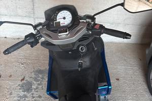 Piaggio derby gp1 50