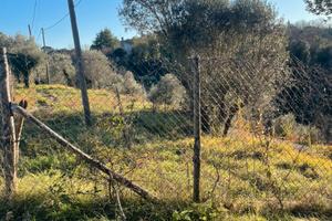 Terreno edificabile colline San Miniato
