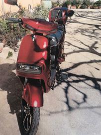 Altro Altro modello - 2024