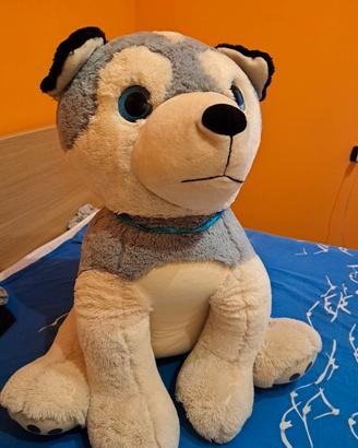 peluche