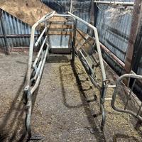 Gabbie parto suini / scrofa