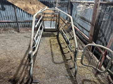 Gabbie parto suini / scrofa