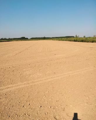 Terreno edificabile con annesso terreno agricolo