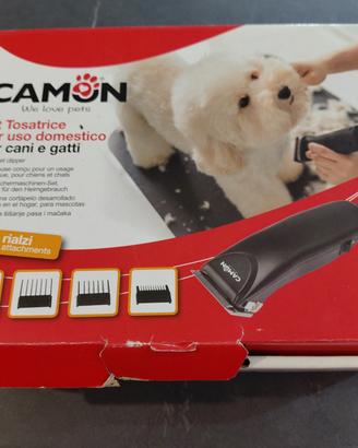 tosatrice cane /gatto 