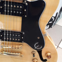 Epiphone by gibson dot deluxe