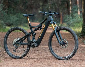 Whistle B-Rush C9.2: telaio full car