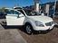 Immagine 12
