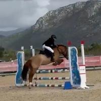 Pony da salto