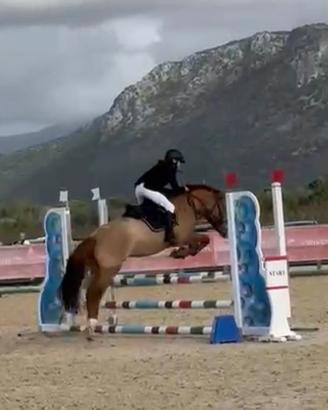 Pony da salto
