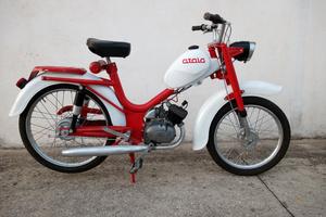 motorino Atala