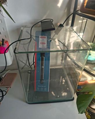 acquario dennerle nano cube + riscaldatore 