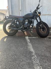 Mutt Mongrel 250
