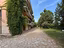Immagine 25