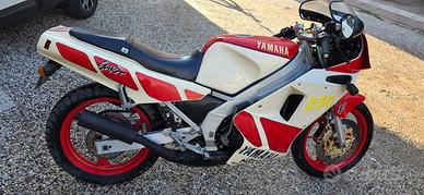 Yamaha TZR 250
