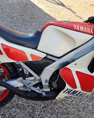 Yamaha TZR 250