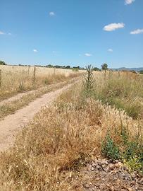 terreno  bellavista