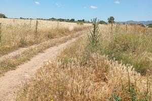 terreno  bellavista