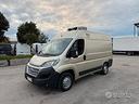 fiat-ducato-2-3-mjet-frigo-trasporto-carne-atp-09-