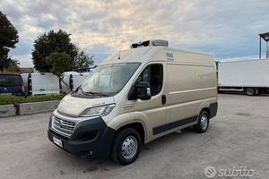 Fiat ducato 2.3 mjet frigo trasporto carne atp 09-