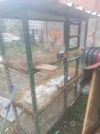 gabbia conigli 3 piani 