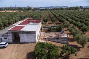 Terreno - Taranto