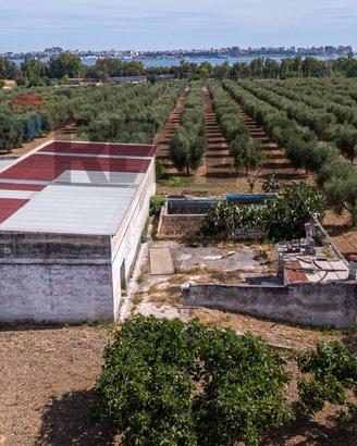 Terreno - Taranto